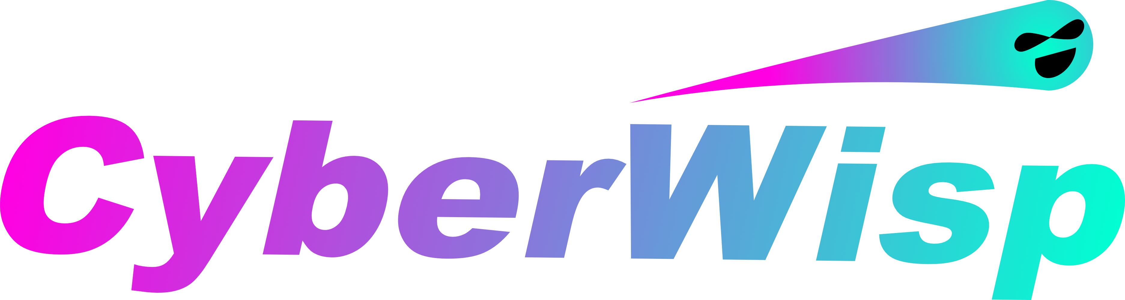 CyberWisp